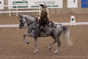 Lusitano Breed Society of Great Britain Show - Hartpury College - 27th June 2009